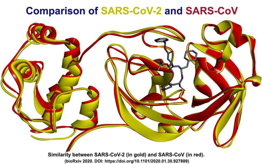Newly Announced Epitopes of SARS-CoV-2 May Facilitate the Vaccine Design