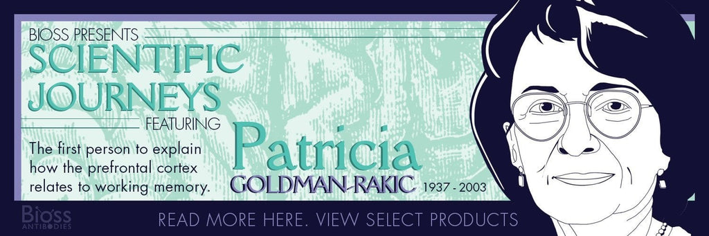 Patricia Goldman-Rakic: Pioneer of the Prefrontal Cortex