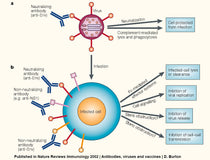 Insight into Viruses (1): the Viral World