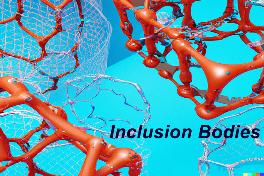 Protein Refolding Strategies for Inclusion Bodies