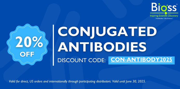 Conjugated Primary Antibodies